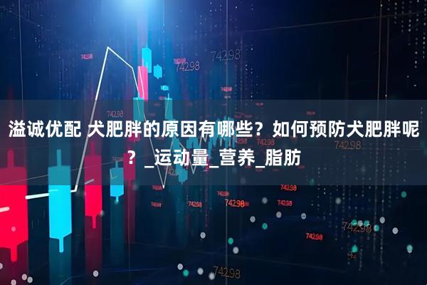 溢诚优配 犬肥胖的原因有哪些？如何预防犬肥胖呢？_运动量_营养_脂肪