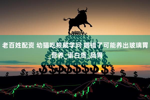 老百姓配资 幼猫吃粮藏学问 喂错了可能养出玻璃胃_营养_蛋白质_肠胃